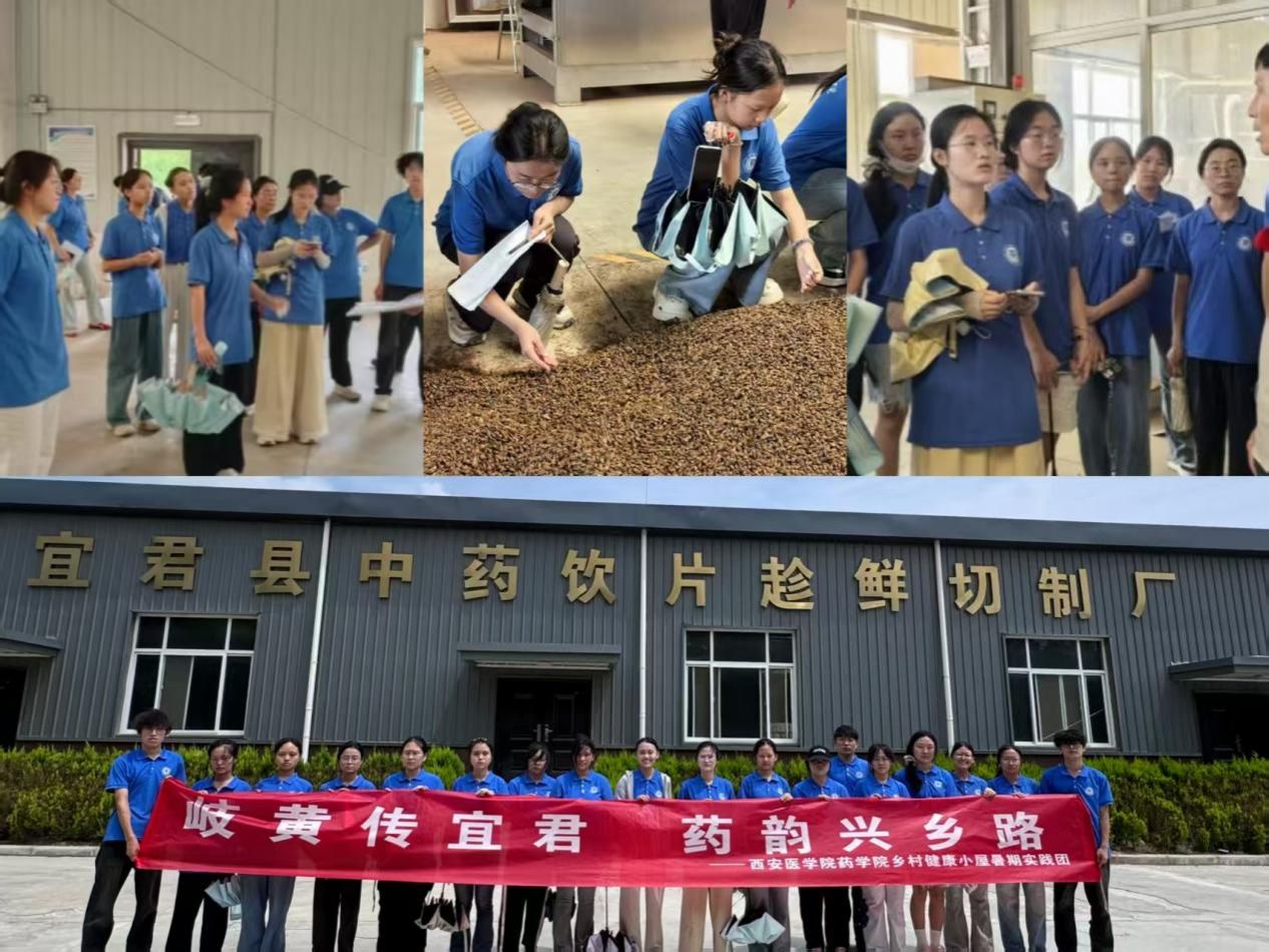 38528d037a494ffd36a305e76077570